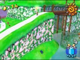 Super Mario Sunshine Multiplayer online multiplayer - ngc