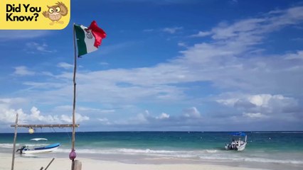 Exploring Mexico's Rich Cultural Heritage: 7 Facts You Need to Know!