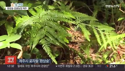가정의 달…가족과 제주의 이색생태 체험하세요