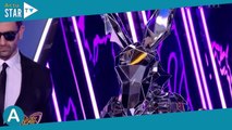 Mask Singer 5 - Le Kangourou, nouvelle star mondiale démasquée : même Camille Combal l'avait trouvée