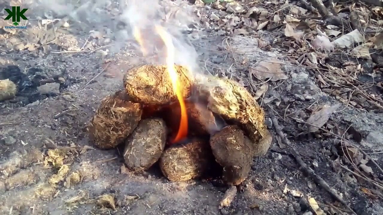 Kakalardan faydalanın (Çocuk Belgeseli)
