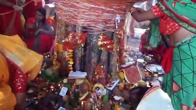 शोभन योग में मनी वट सावित्री अमावस्या व शनि जयंती , नर्मदा में लगी पुण्य की डुबकी