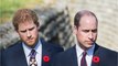 Prince William's bitter feud with Harry may never be resolved, claims pal