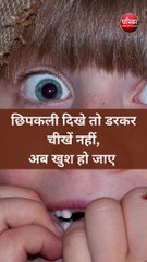 छिपकली दिखे तो डरकर चीखें नहीं,  खुश हो जाए !