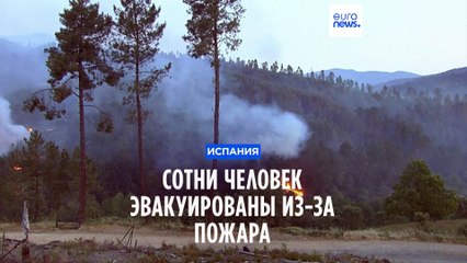 Лесной пожар в Испании: эвакуировано более 700 человек