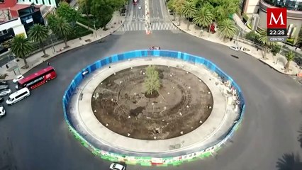 ¡Ya llegó! Plantan nuevo árbol de ahuehuete en Paseo de la Reforma