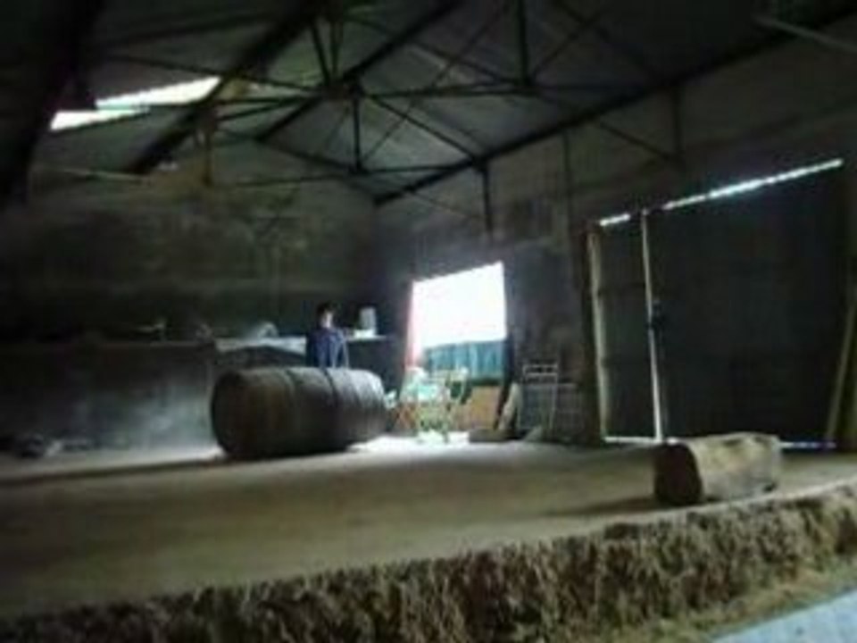 ninja de la campagne
