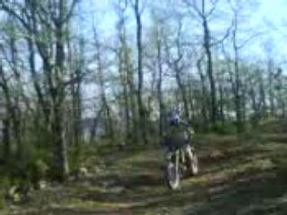 saut 125 husky jorgi
