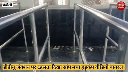 Chandauli video: डीडीयू जक्शन पर टहलता दिखा दो मुहां सांप, मचा हड़कंप, वीडियो वायरल