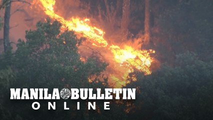 Wildfire in Spain forces hundreds to evacuate