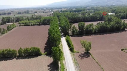 Doğal güzelliyle mest eden yol, sürücüler için tehlike saçıyor