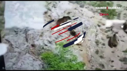 Bozayı, önce dişi ayıyı, sonra da yavrusunu öldürdü!