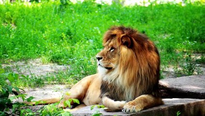 Connaissez vous les liens entres les Djinns et les Ovnis ?