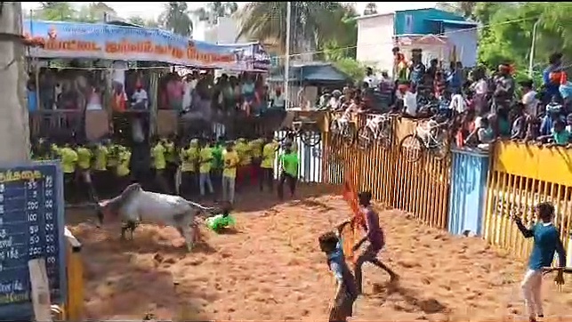 அரியலூர் ஜல்லிக்கட்டு போட்யில் சீறி பாய்ந்த காளைகளை அடக்க முயற்சித்த காளையர்கள்