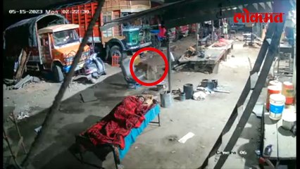 तरुण बाहेर झोपलेला, बिबट्या हळूच आला... धक्कादायक घटना सीसीटीव्हीत कैद