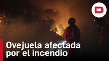 El incendio de Las Hurdes afecta con fuerte intensidad a la zona noreste de Ovejuela
