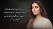 Kaisi Teri Khudgharzi OST (Full Song With Lyrics) Rahat Fateh Ali Khan , Sehar Gul - Ali Imran, Asim