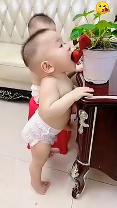 Cute babies