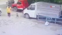 Köpeğin tavuk hırsızlığı kamerada