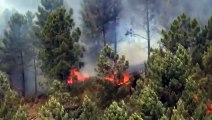Villages evacuated as ‘very large’ wildfire ravages south-west Spain