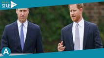 William et Harry : quelles sont leurs relations avec Charles Spencer, le frère de Diana ?