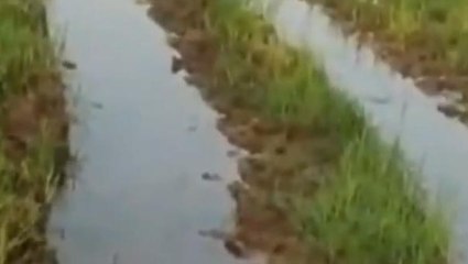 ములుగు: చెరువు నుంచి వృథాగా పోతున్న నీరు