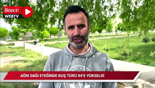 Ağrı Dağı eteğinde kuş türü 94’e yükseldi