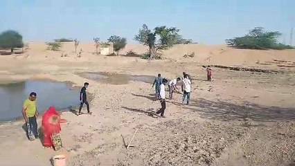 Watch Video: नाडी पर किया श्रमदान, पक्षियों के लिए लगाए परिंडे