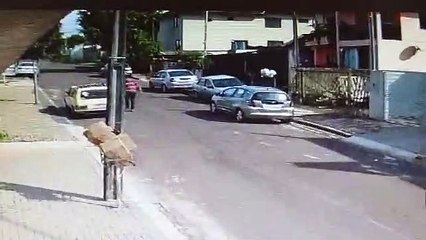 Câmera flagra homem invadindo residências para cometer furto no Pioneiros Catarinenses
