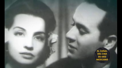 ⭐La MALDICIÓN que cayó sobre la FAMILIA de PEDRO INFANTE tras su MUERTE⭐