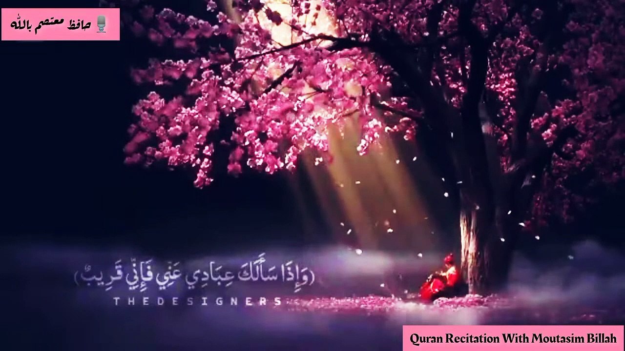 Tilawat e Quran -- Beautiful Voice -- Amazing View -- Heart Touching Voice -- Quran Status -- Status