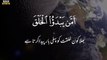 Surah Al Fussilat Verses 33 __ Quran Whatsapp status __ urdu status __ Islam Sob