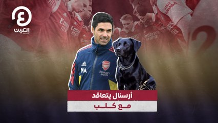 أرسنال يتعاقد مع كلب