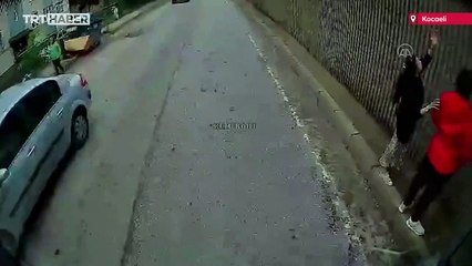 Duvarda asılı kalan kediyi otobüs şoförü kurtardı