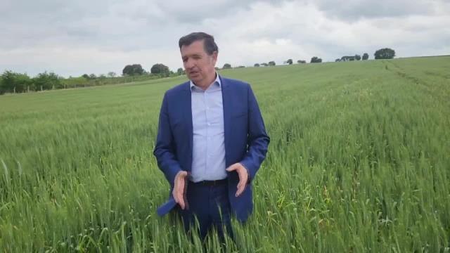 CHP'li Gaytancıoğlu: Buğday alım fiyatı açıklanmalı