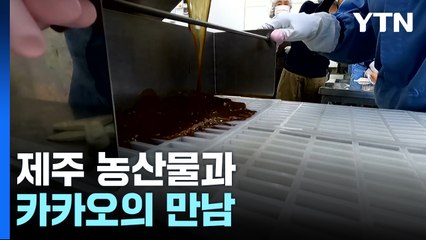 [新농비] 제주 농산물과 카카오의 만남...'수제 캐러멜' / YTN