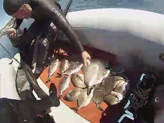 16 avril 2023 chasse sous marine à antibes