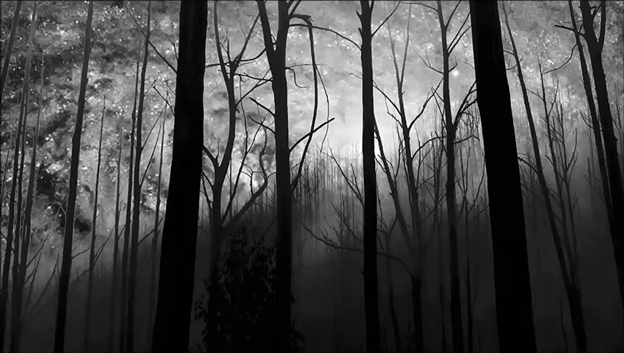 Patrick Wolf - Born To Die (Lana Del Rey Cover)