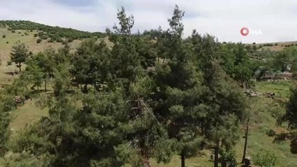 Dünyanın en büyük açık hava müzesi deprem sonrası ziyaretçilerini bekliyor