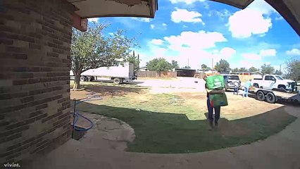 Boy Falls Over While Trying to Lift Bag of Dog Food