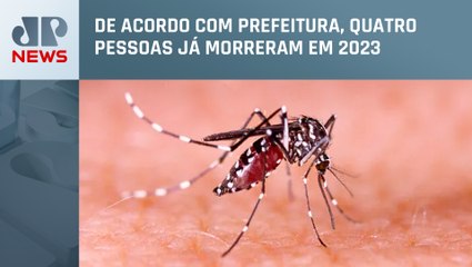 São Paulo registra 54 casos de dengue por dia