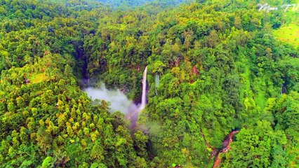 Soothing Violin Music for Calmness