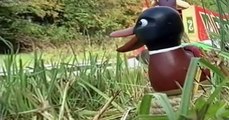 Rosie and Jim Rosie and Jim S03 E008 Duck Gets Lost