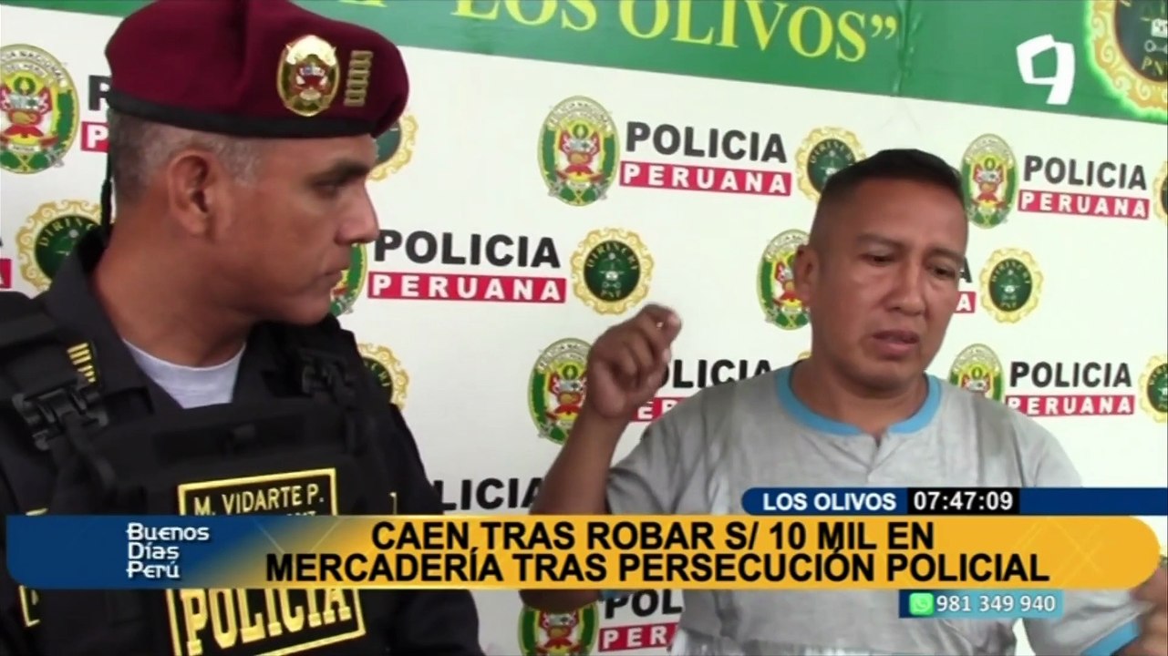 Los Olivos: Caen delincuentes tras robar mercadería valorizada en 10 mil soles