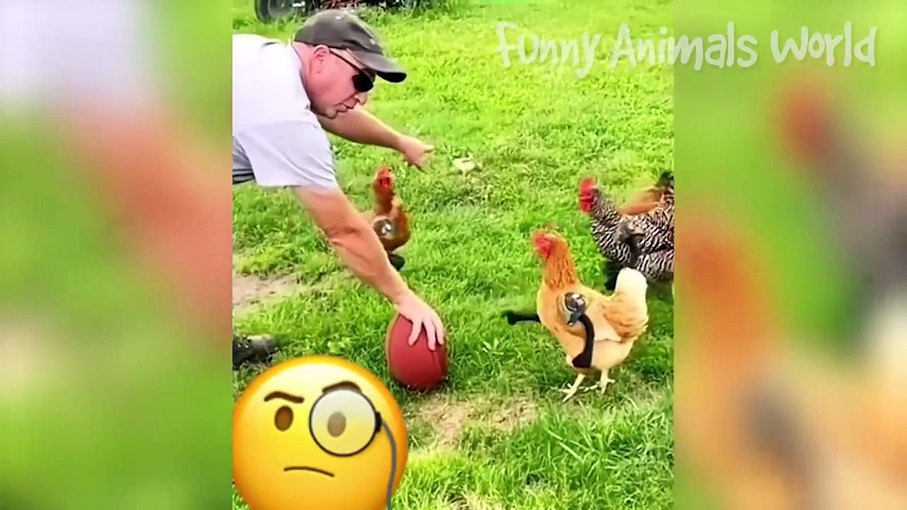 Funny Dogs And Cats Videos 2023  - Best Animal Videos Of The Month  #5