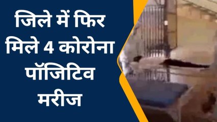 फतेहपुर: जिले में फिर मिले 4 कोरोना पॉजिटिव मरीज, एक्टिव केसों की संख्या हुई 6