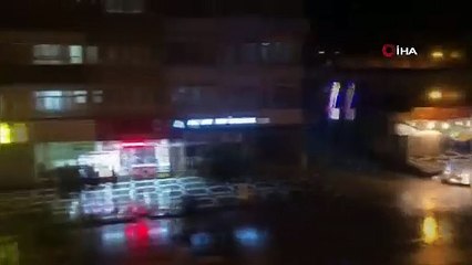 Ceylanpınar’da dolu hayatı felç etti: Çatı çöktü, ağaçlar devrildi