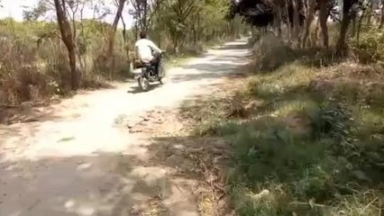 बिजनौरः दर्जन भर से अधिक गांवों को जोड़ने वाली सड़क की हालत हुई खस्ताहाल