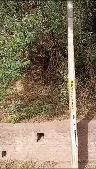 सांप का जोड़ा एक-दूसरे से लिपट इस कदर करता रहा डांस...!