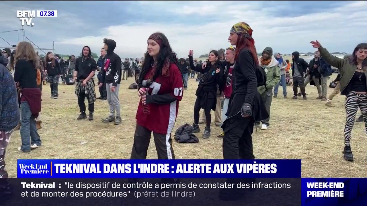 Teknival: des participants blessés par des mors...